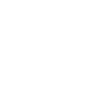 Spirit Animal Bear