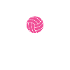Real Girls Playing Volleyball