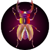 bright stag in reddish colors