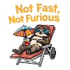 Not Fast Not Furious Faultier