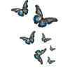 Butterflies,Sequins,Butterfly,Blue