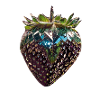metallic strawberry,sequins,black strawberry