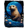 Loutre Nuit étoilée