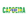 Capoeira Capoeirista