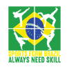Capoeira Capoeirista