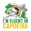 Capoeira Capoeirista
