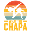 Capoeira Capoeirista