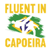 Capoeira Capoeirista