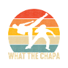 Capoeira Capoeirista