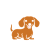 Humour chien teckel