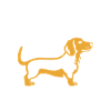 Humour chien teckel