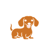 Humour chien teckel