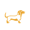 Humour chien teckel