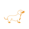 Humour chien teckel