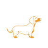 HUmour chien teckel