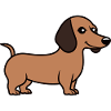 Humour chien teckel