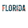 Florida Souvenir USA America