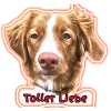 Toller Liebe