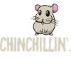 Chinchilla