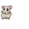 Chinchilla
