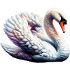 Swan