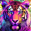 Tiger Pride Smoke