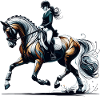 Dressage Riding Horse Gift
