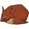 Foxe