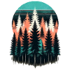 Forest Light Sunset