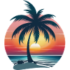 Palm Tree Sunset