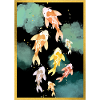 Koi Carp Golden Night