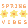 Frühlingsblumen