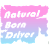 Conducteur né – Miami Sunset