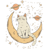 Chat de la lune