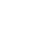 Salesman