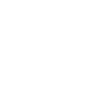 Salesman