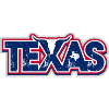 Texas Longhorn Distressed Flag