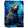 Loutre Nuit étoilée