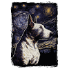Bullterrier Starry Night