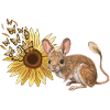 Chinchilla rongeur fleur fantaisie papillon