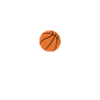 Basket-ball