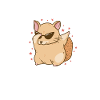 Chinchilla