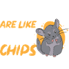 Chinchilla