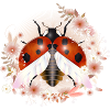 enchanting radiant ladybug with flowers