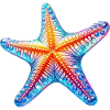 Starfish