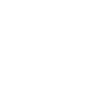 2029