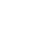 Wolf's head : Alpha Spirit