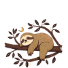 Something's Fishy Here | Sloth Gift