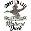 Duck Mallard