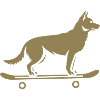 Dog Shepherd Skateboard Skateboarder